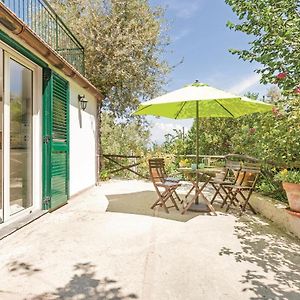 Villa Dellolivo